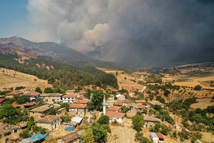 Tarım ve Orman Bakanı İbrahim Yumaklı