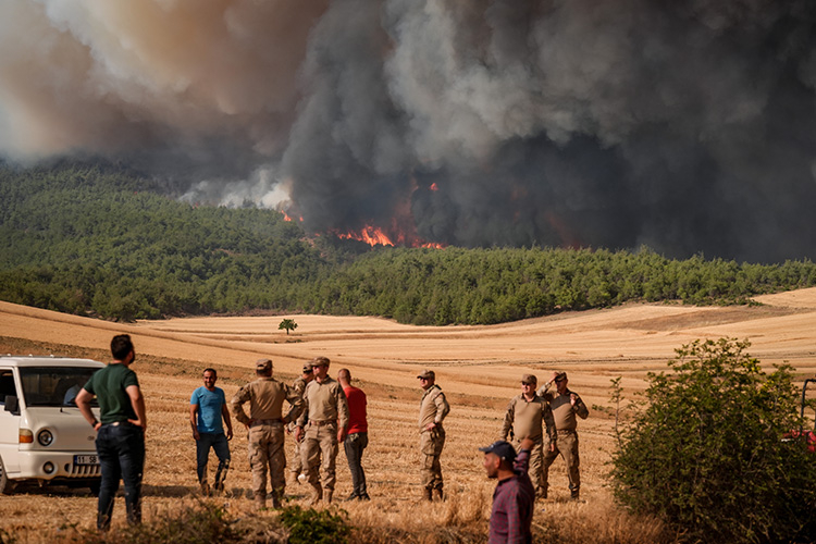 Tarım ve Orman Bakanı İbrahim Yumaklı