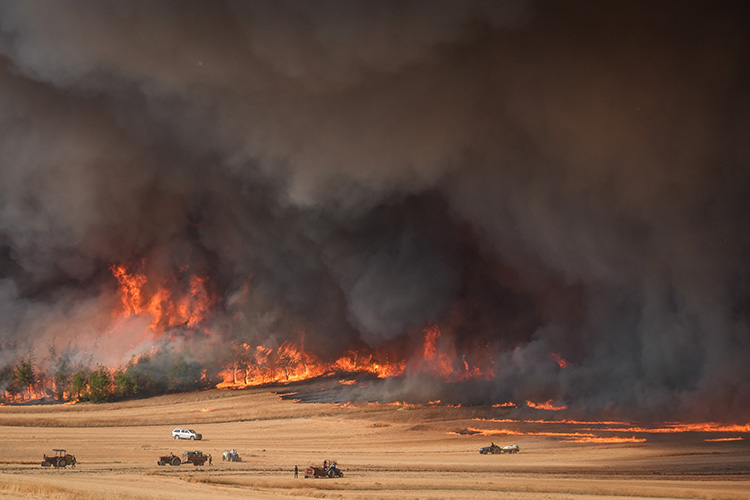 Tarım ve Orman Bakanı İbrahim Yumaklı