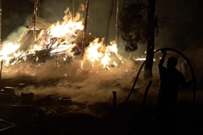 Bilecik'te bir orman yangını daha