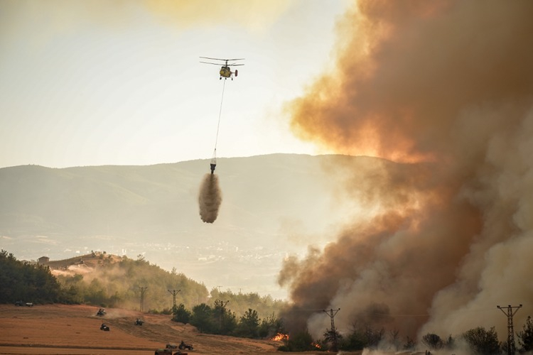 Tarım ve Orman Bakanı İbrahim Yumaklı