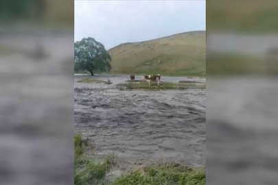 Kars'ta etkili olan sağanak sele dönüştü
