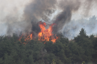 Sakarya'da yangın 45 saattir sürüyor: Alevler zaman zaman yeniden yükseliyor