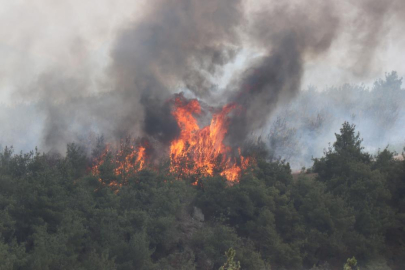 Sakarya Geyve'de orman yangını 45 saattir devam ediyor, yoğun sis nedeniyle müdahale sadece karadan sürüyor