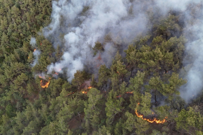 Karabük’te orman yangını 6 saattir kontrol altına alınmaya çalışılıyor