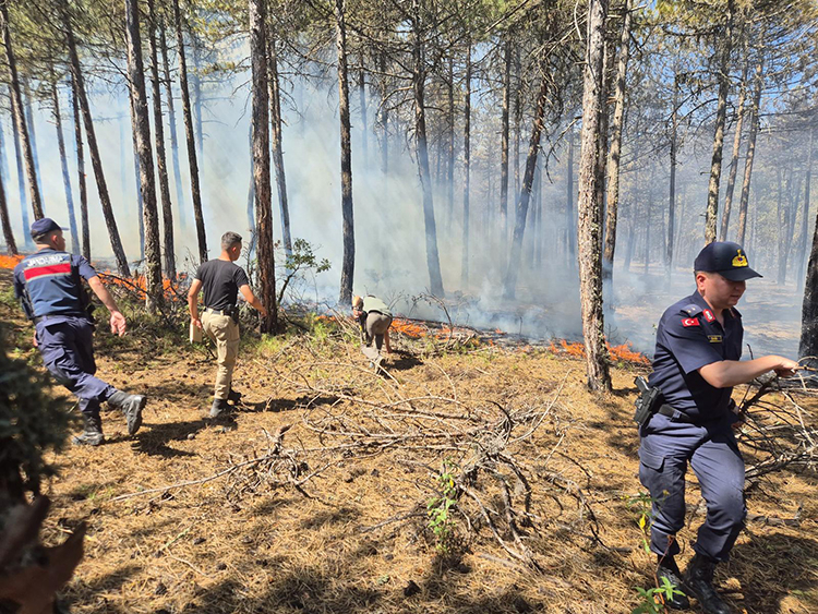 Tarım ve Orman Bakanı İbrahim Yumaklı