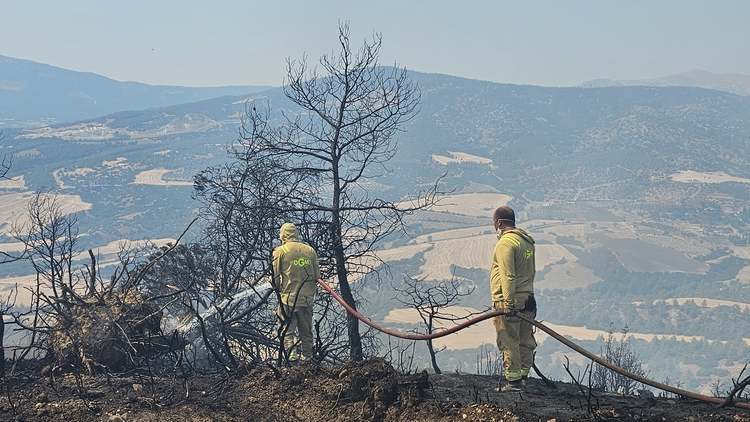 orman yanıgını 