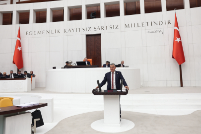 Ayhan Barut, orman yangınlarıyla mücadeleyi TBMM’ye taşıdı