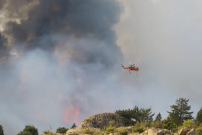 Seyitgazi yangınında şehit olan 10 kahramanın kimlikleri açıklandı