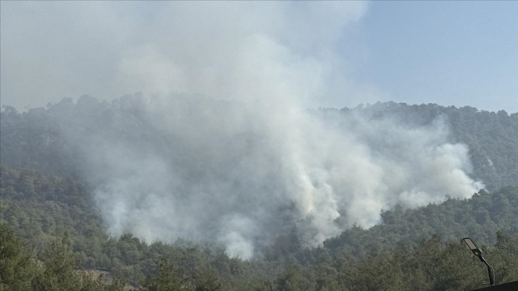 Tarım ve Orman Bakanı İbrahim Yumaklı