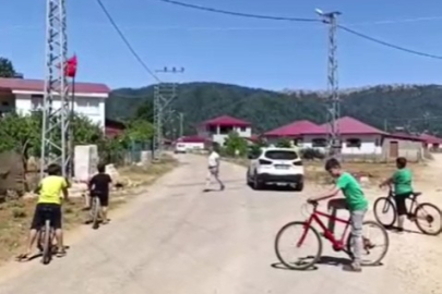Adana'nın yaylası teknolojiden yoksun! Telefon bile çekmiyor