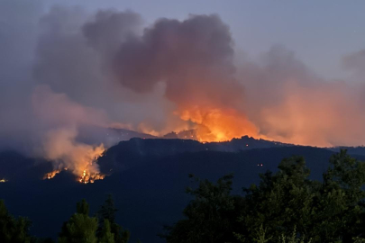 Eskişehir’de orman yangınında 10 kişi şehit oldu! Eskişehir Seyitgazi'deki orman yangınında son durum ne, yangın söndürüldü mü?