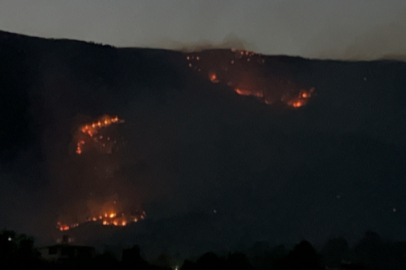 GKRY Limasol’daki orman yangınında can kaybı 2’ye yükseldi, 10 kişi yaralandı