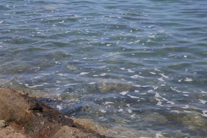 Hatay'da deniz kıyısında köpük benzeri tabakaya ilişkin inceleme tamamlandı
