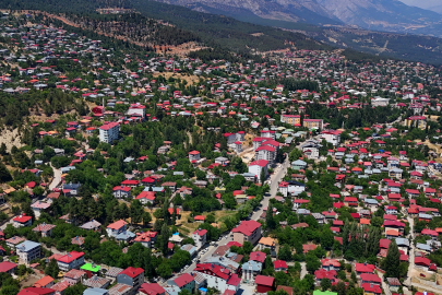 Adana boş kaldı, yaylalarda nüfus patladı