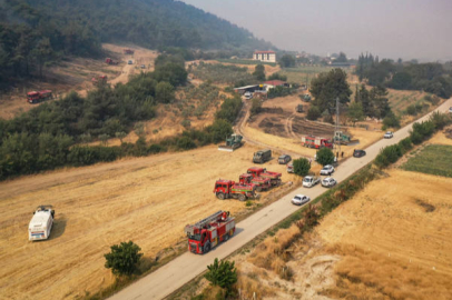 Yangın felaketi büyüyor: Karabük, Bilecik ve Sakarya alarmda!