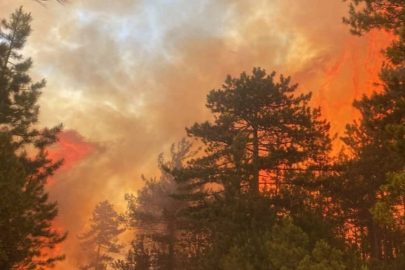 Antalya Gazipaşa’da orman yangını yerleşim yerini tehdit ediyor