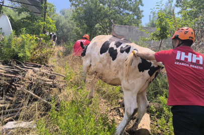 Antalya Gazipaşa’daki orman yangını yerleşim alanlarına ulaştı: Evler tahliye edildi