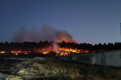 Balıkesir Savaştepe'de çıkan orman yangınına müdahale sürüyor