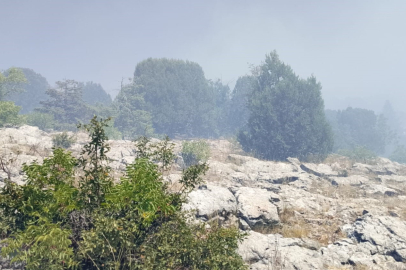 Beyşehir’de Çöplük Yangını Ormana Sıçradı