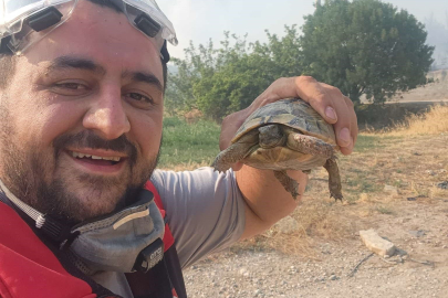 Bilecik'te orman yangınında hayvanlara su veren ekipler yürekleri ısıttı