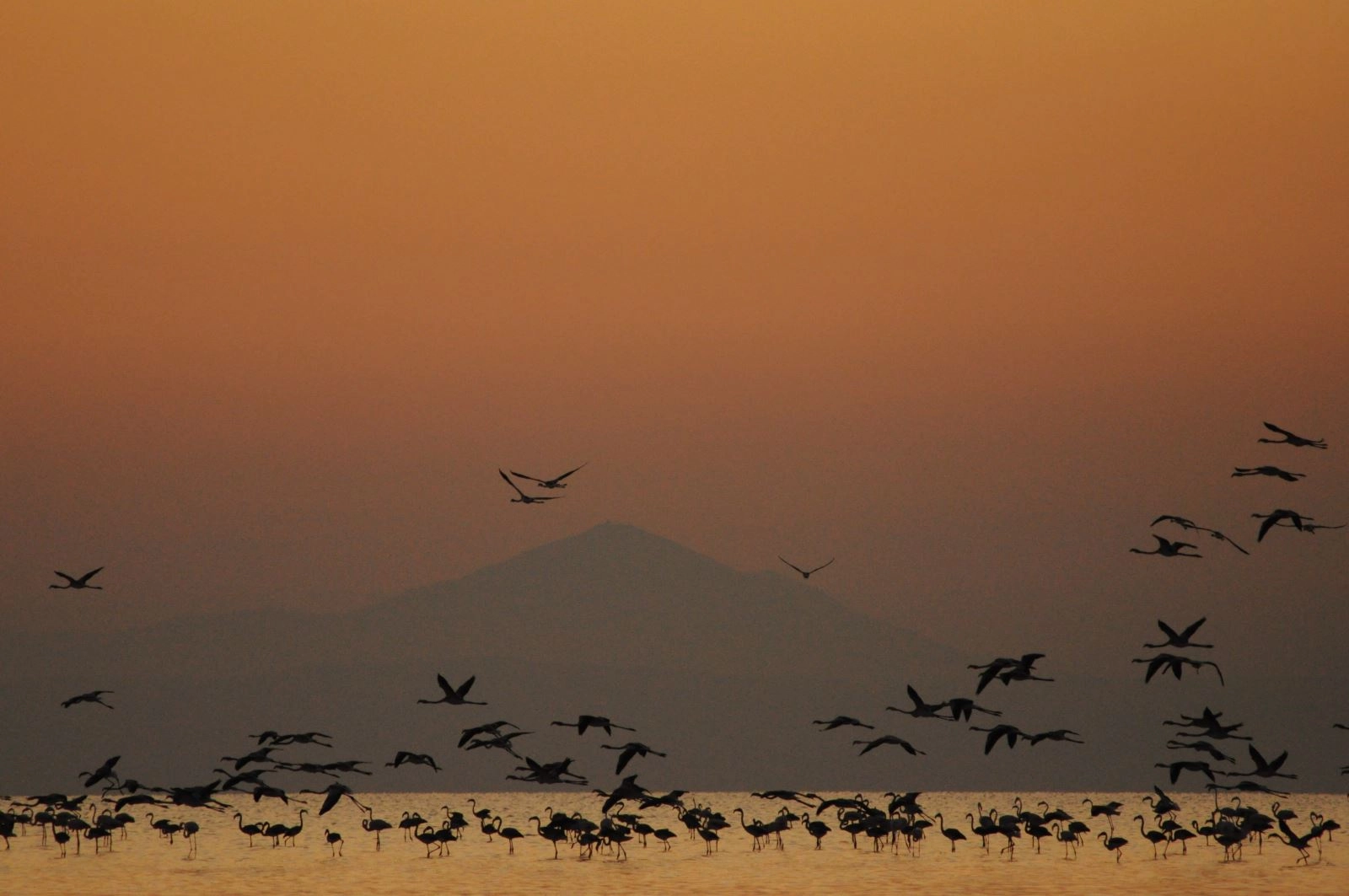 Bozkırın Ortasındaki Cennet: Fotoğraf Tutkunlarının Yeni Gözdesi Aksaray Tuz Gölü