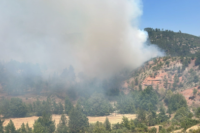 Denizli’de Ev Yangını Ormana Sıçradı