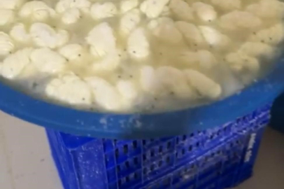 Hatay'da sağlıksız süt ve süt ürünleri imha edildi