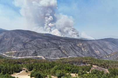 Karabük'te orman yangını sürüyor: 15 köy boşaltıldı, 1.306 kişi tahliye edildi