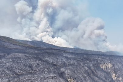 Karabük’te orman yangınları üçüncü gününde: 14 köy tahliye edildi, ev ve ahırlar zarar gördü