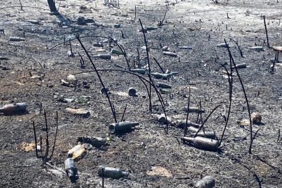 Kartepe’de yangın sonrası arazide yüzlerce boş cam şişe bulundu