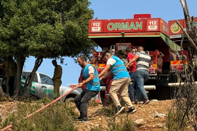 Kozan'daki Orman Yangınında Ekiplerin Müdahalesi Sürüyor
