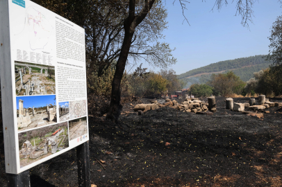 Stratonikeia Antik Kentinde Yüzyıllık Ağaçlar Alevlere Teslim Oldu