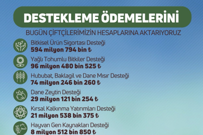 Tarım ve Orman Bakanlığı’ndan Çiftçilere 826 Milyon Liralık Destek Ödemesi