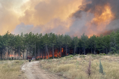 Antalya Aksu’da orman yangını: Müdahale havadan ve karadan sürüyor