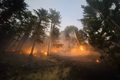 Antalya’nın Gazipaşa ve Alanya ilçeleri ile Muğla’nın Ortaca ilçesindeki orman yangınlarına müdahale ediliyor