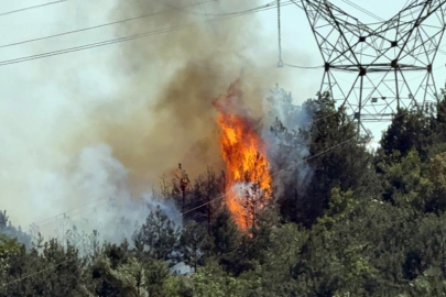 Düzce-Sakarya sınırında orman yangına müdahale sürüyor