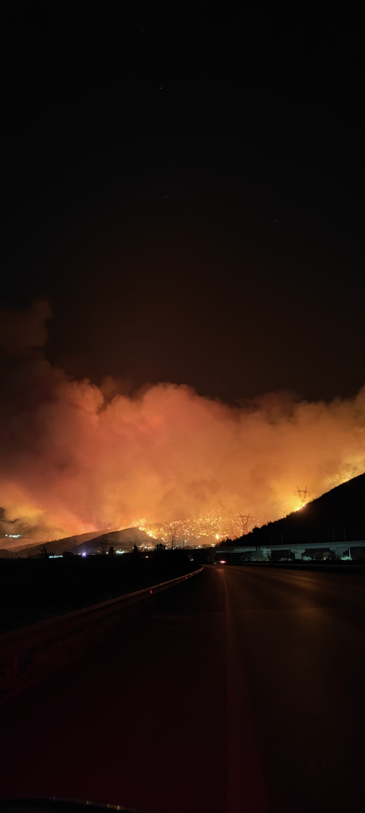 Bursa orman yangını