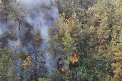 Karabük'te orman yangını dördüncü gününde: Mücadele ve tahliyeler sürüyor