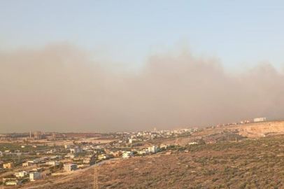Mersin Silifke'de orman yangını