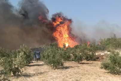 Mersin Silifke'de orman yangını: Havadan ve karadan müdahale sürüyor