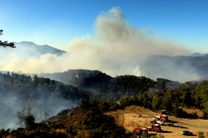 Orman yangınlarıyla amansız mücadele sürüyor: Mahalleler tahliye edildi