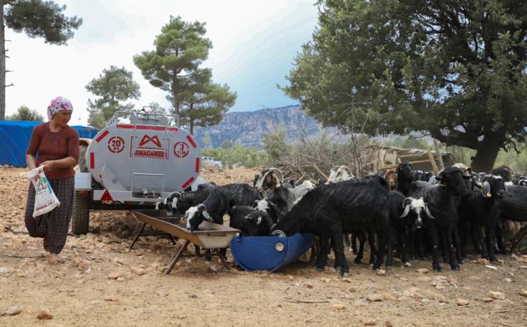 Sulama Tankeri Desteği Projesi’