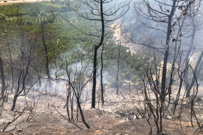 Bilecik-Bursa sınırında orman yangını kontrol altına alındı