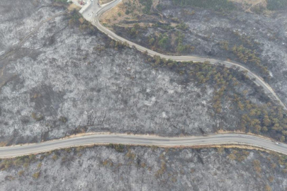 Bursa'daki orman yangınına havadan ve karadan yoğun müdahale: Üç mahalle boşaltıldı