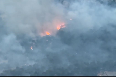 Diyarbakır’da ziraat arazisinde başlayan yangın 10 saatte kontrol altına alındı