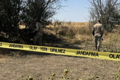 Edirne'de ayçiçeği tarlasında kadın cinayeti