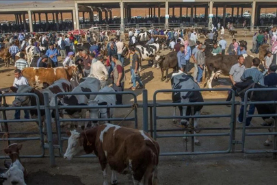 Hayvan pazarlarında son durum ne? Şap hastalığı nedeniyle kapatılan pazarlar ne zaman açılacak?
