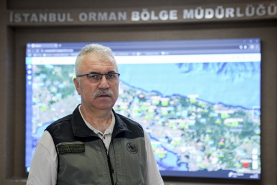 İstanbul Orman Bölge Müdürü'nden kritik uyarı: Yangınların yüzde 90'ı insan kaynaklı