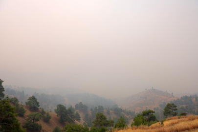 Kahramanmaraş'taki orman yangınında 4 ev yandı, 20 ev tahliye edildi